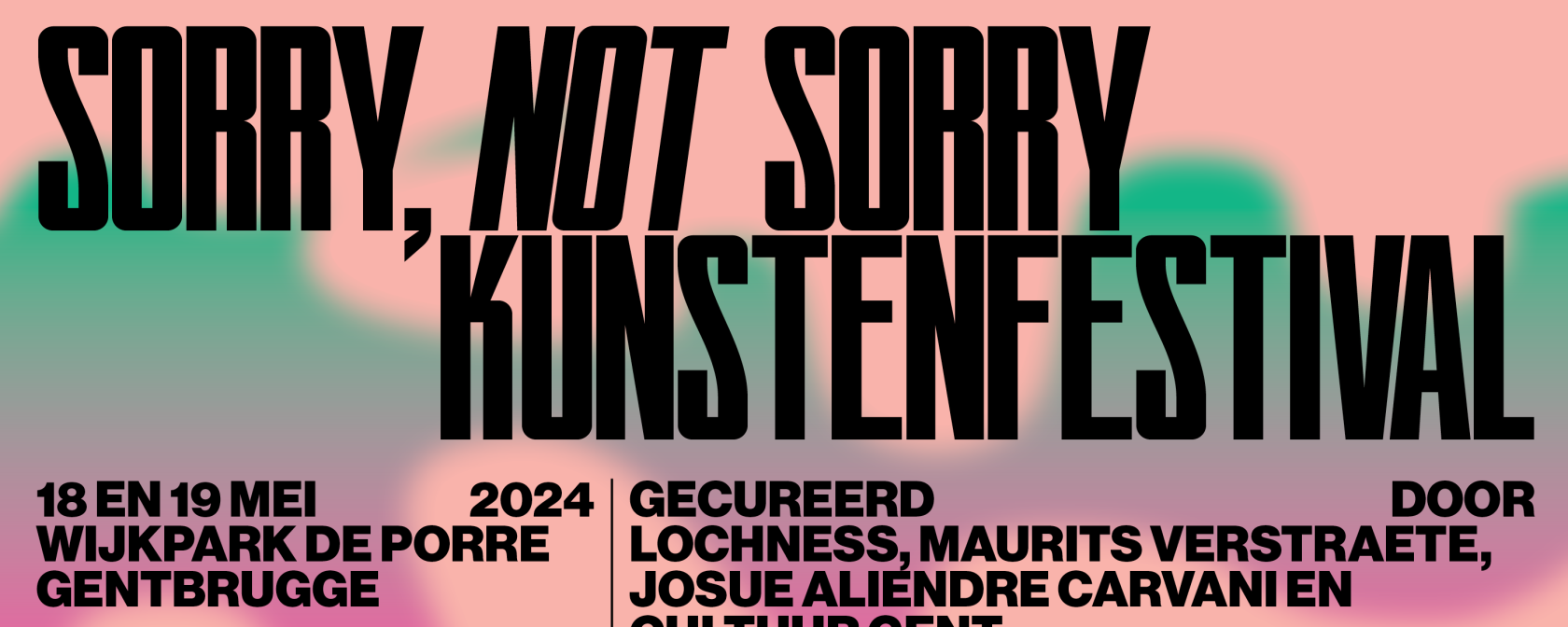 Sorry, Not Sorry kunstenfestival