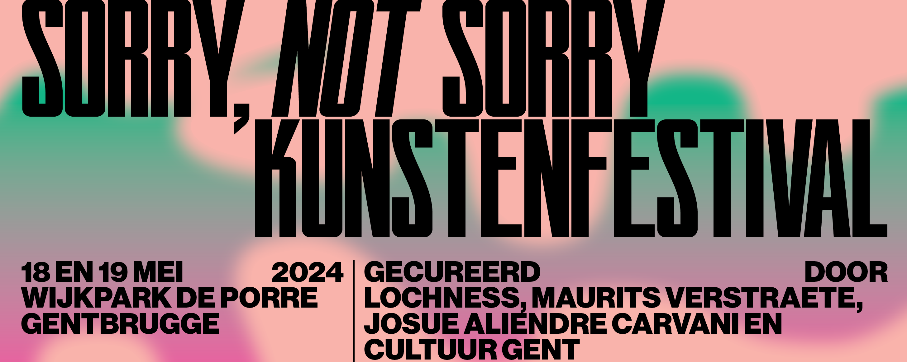 Sorry, Not Sorry kunstenfestival